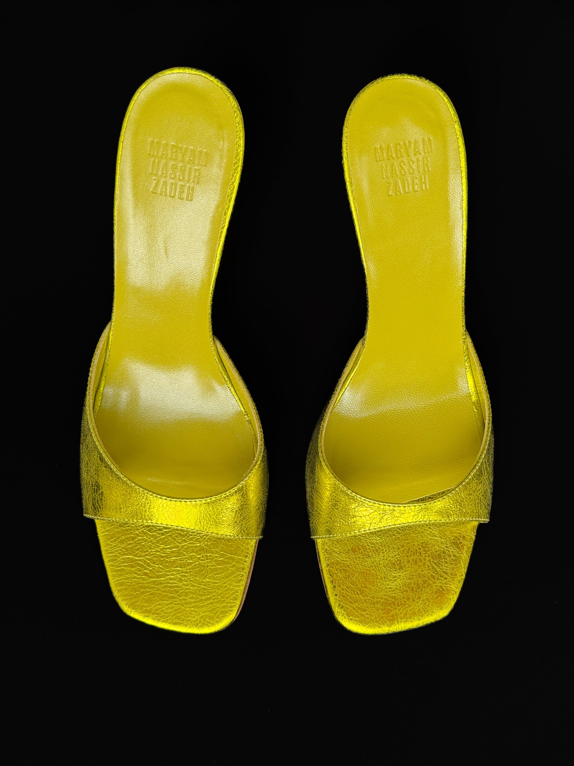 Lido Wedge, Goldfinch MARYAM NASSIR ZADEH