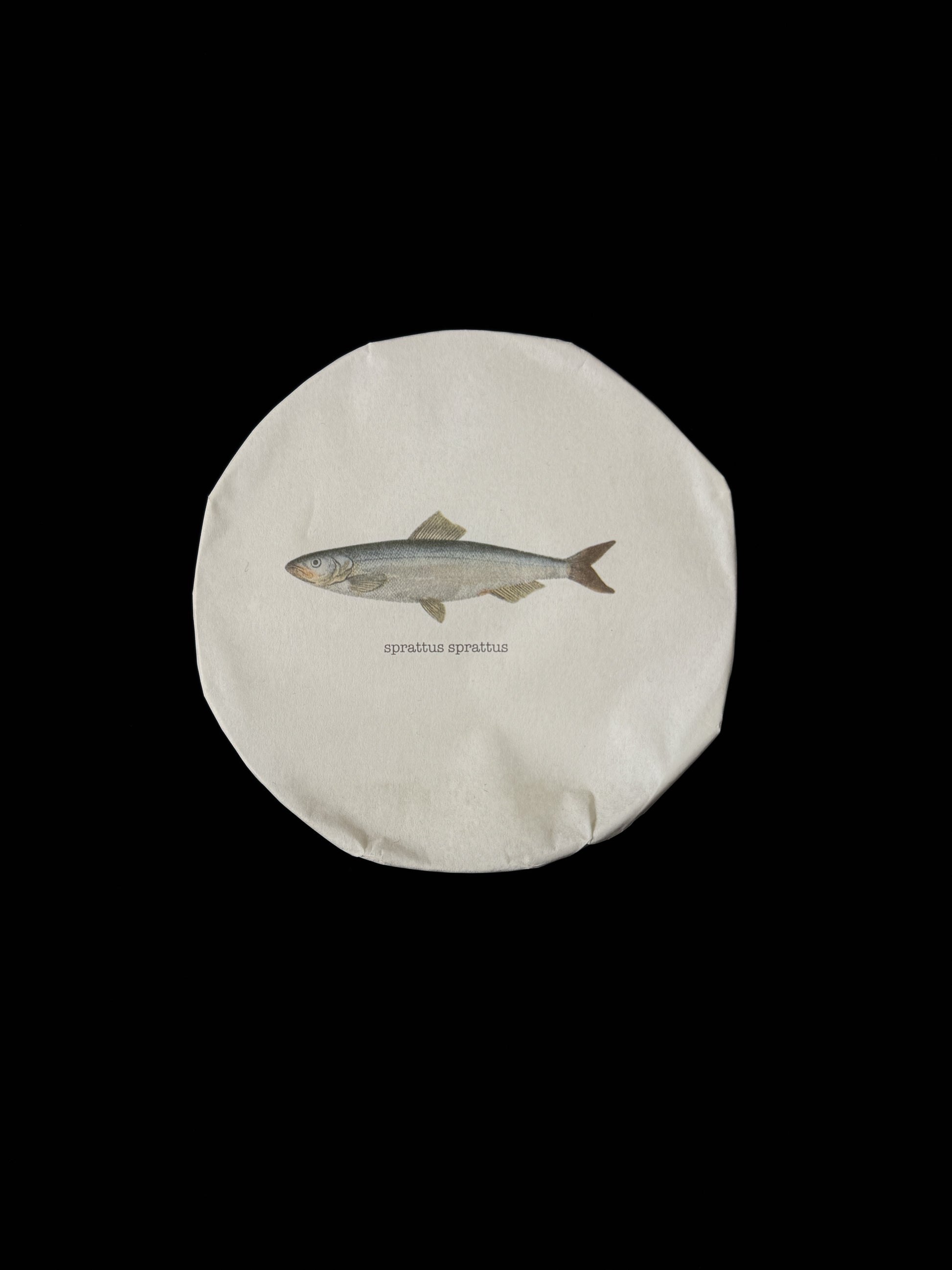 Baltic Gold Smoked Sprats PYSCIS